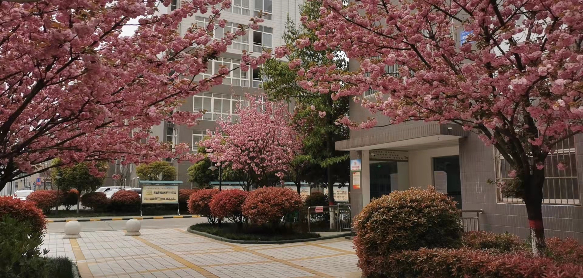 四個堅持讓職工居住環(huán)境提檔升級
