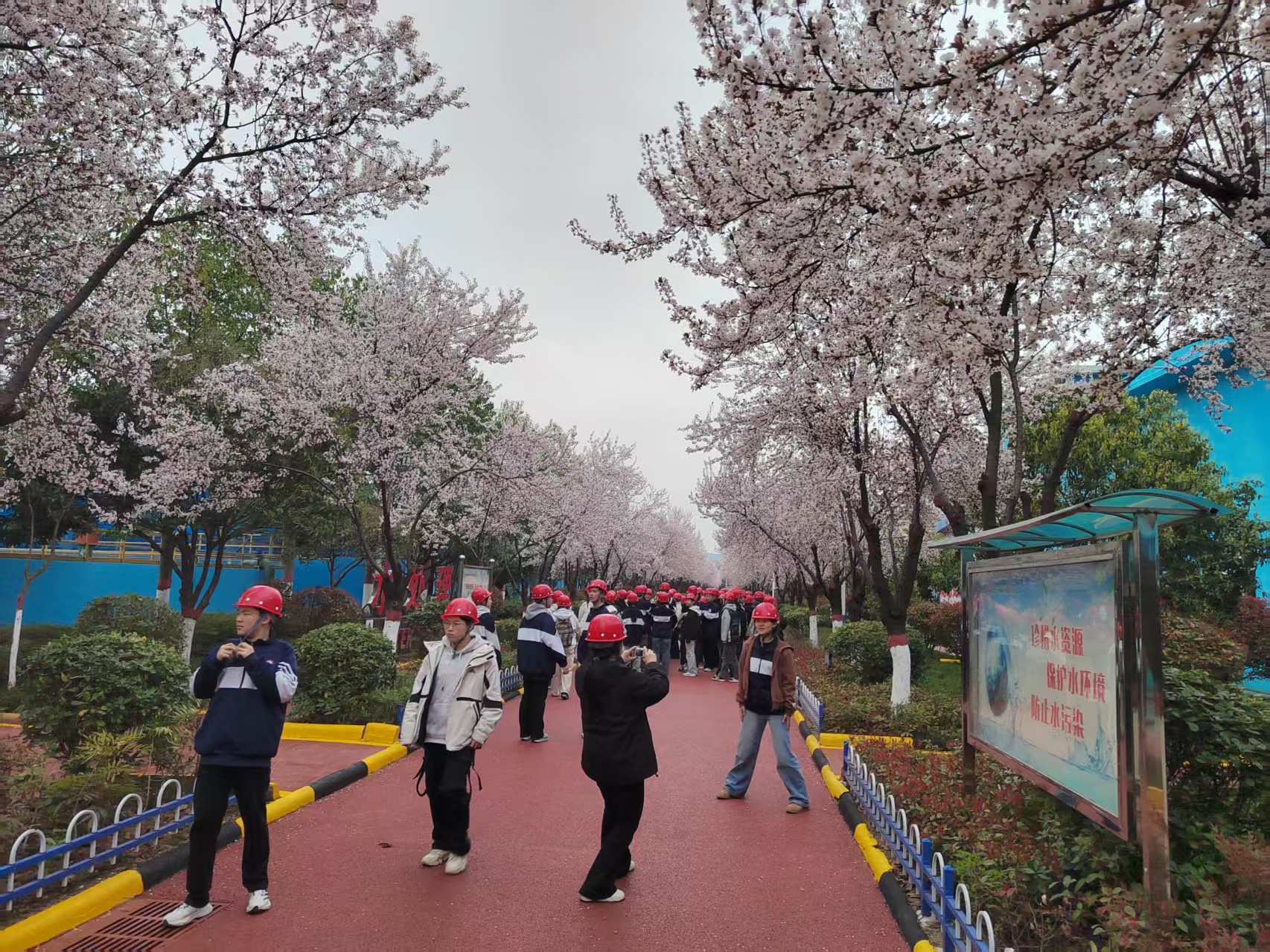 ЌW|L^F֮䓼Fh䓹˾ЌWѳ2000