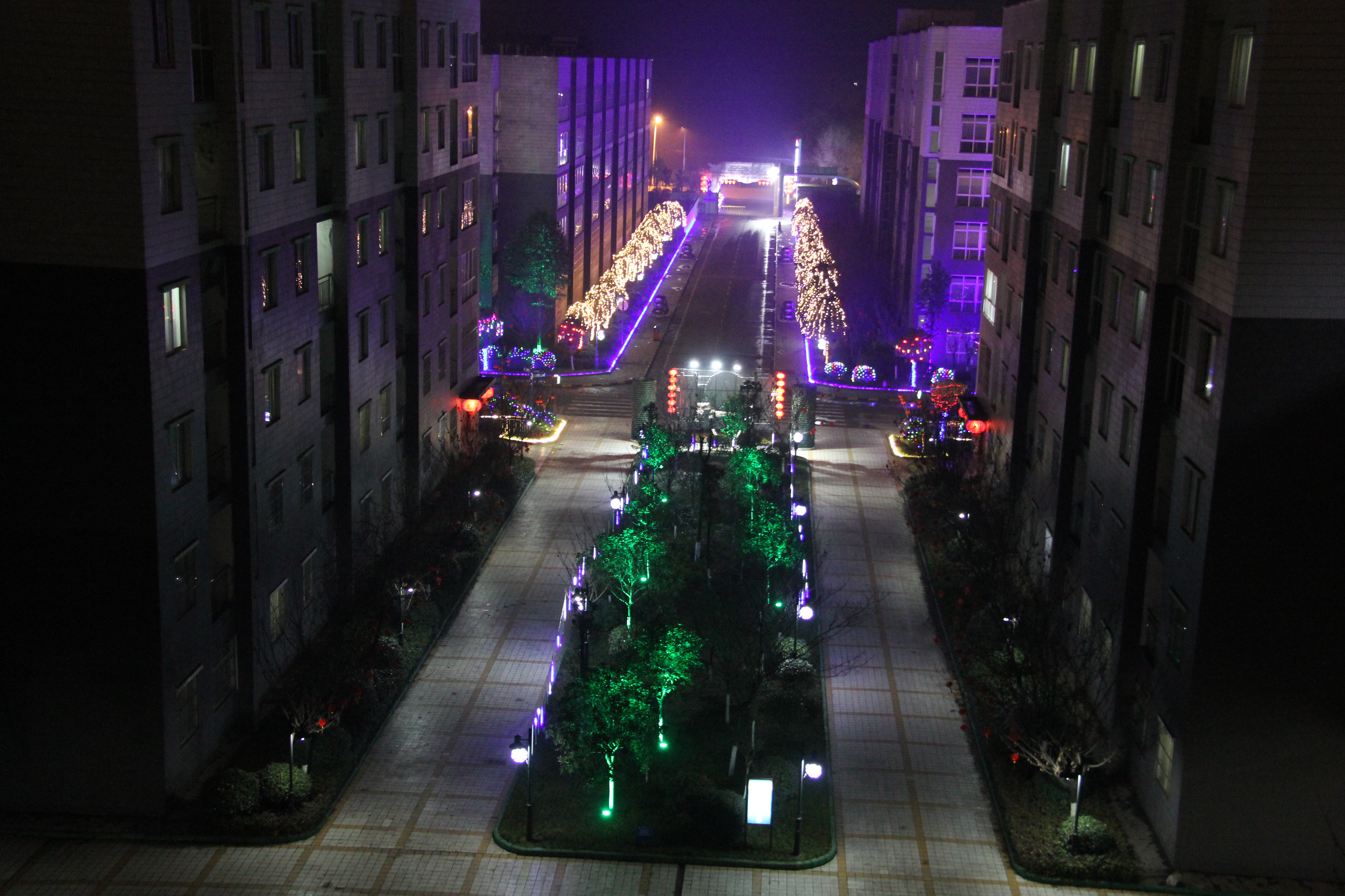 ڱϡκڲ벢e(qing)ϣ׌Tggϲϲ^
